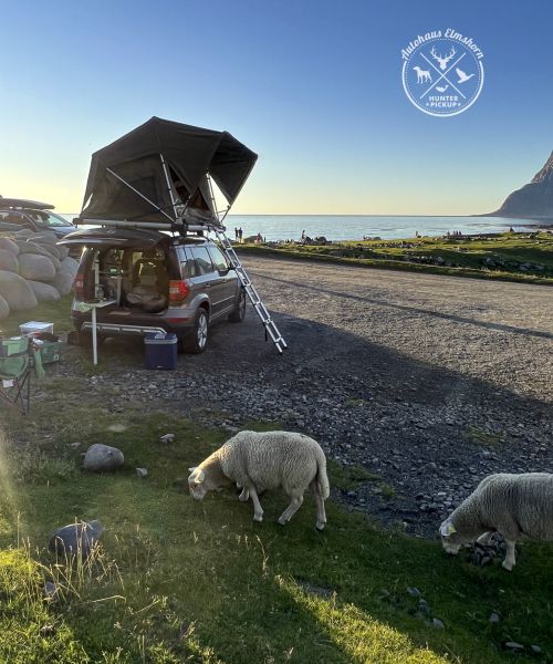 SHEEPIE Jimba Dachzelt Automatik